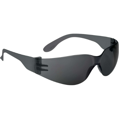 Art. BRAV2FU - safety glasses DELTA PLUS BRAVA2, dark
