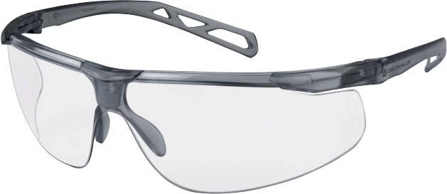 Art. KISKA2IN - safety glasses DELTA PLUS KISKA 2 CLEAR